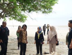 DLH Siapkan Rencana Penanaman Mangrove di Pantai Satbrimob untuk Cegah Abrasi
