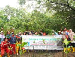 Kilang Pertamina Unit Balikpapan Tanam 300 Pohon Mangrove, Upaya Menjaga Paru-Paru Dunia