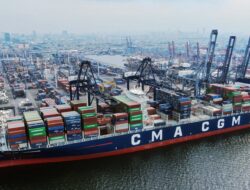Arus Peti Kemas PT Pelindo Terminal Petikemas Tembus 12,48 Juta TEUs di Tahun 2024