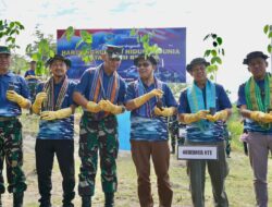 Pelindo Gerakkan Aksi Hijau di Kupang, 5.000 Pohon Ditanam di Noelpopo