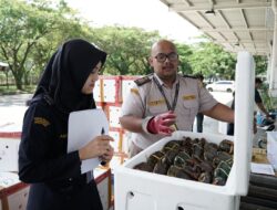 Bea Cukai dan Karantina Kaltim Terapkan Instruksi Kerja Mandiri untuk Jamin Ekspor Produk Laut