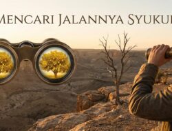 Mencari Jalannya Syukur: Refleksi tentang Tanda-Tanda Alam dan Hati yang Terlatih Menghargai
