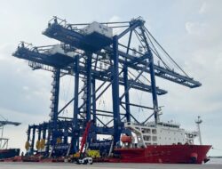Perkuat Kinerja Pelabuhan, Pelindo Siapkan Puluhan Alat Bongkar Muat Baru di Terminal Peti Kemas
