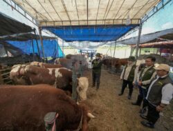 Jelang Iduladha 1447 H, Pelindo dan Pemkot Surabaya Perketat Pengawasan Hewan Kurban