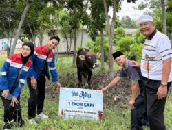 Momentum Iduladha, KPB Bagikan 35 Hewan Kurban untuk Masyarakat Sekitar RDMP Balikpapan dan PPU