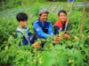 Program Pemberdayaan Masyarakat Pertamina Kalimantan Mendunia, Borong Penghargaan CSR dan ESG Internasional