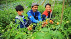 Program Pemberdayaan Masyarakat Pertamina Kalimantan Mendunia, Borong Penghargaan CSR dan ESG Internasional
