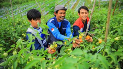 Program Pemberdayaan Masyarakat Pertamina Kalimantan Mendunia, Borong Penghargaan CSR dan ESG Internasional