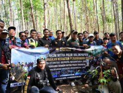 Senkom Balikpapan, Tarakan dan JRI Tanam Pohon di Kawasan IKN, Wujud Nyata Kepedulian Lingkungan