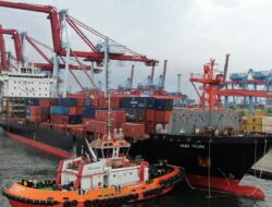 Dari Merauke hingga Ambon, Penguatan Logistik Darat Jadi Tantangan Pelabuhan Timur