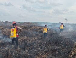 Karhutla 15 Hektare di Samboja Barat Ditangani Empat Hari, Tim Gabungan Perkuat Pengendalian Api